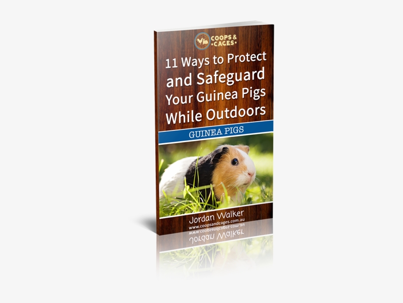 World Record For The Most Guinea Pigs, transparent png download
