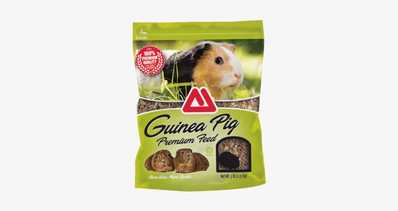 Guinea Pig Premium Feed - Head Case Designs Guinea Pig Pet Famous Animals Protective, transparent png download