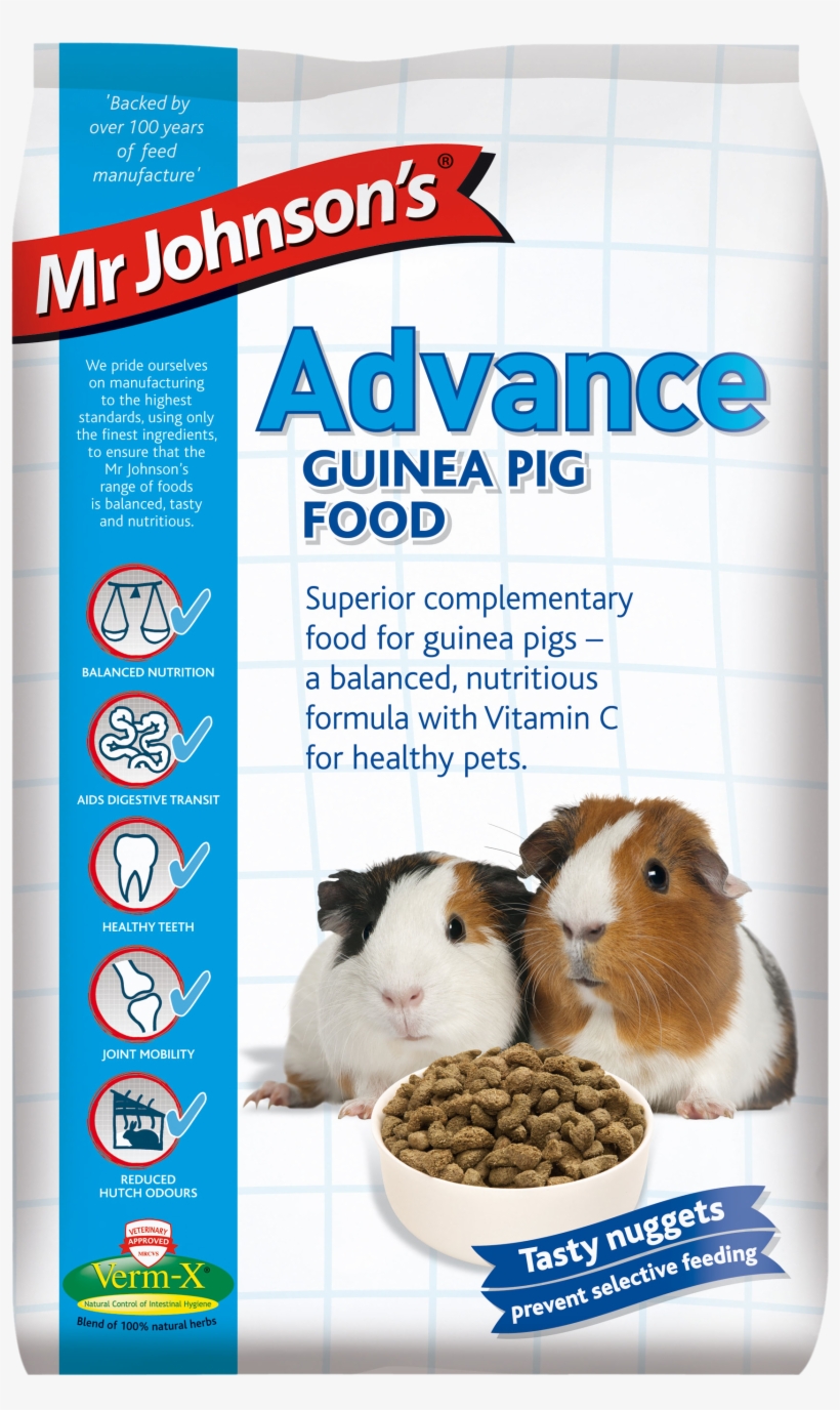 Guinea Pig Png, transparent png download