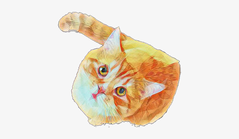 Orange Cat Png, transparent png download