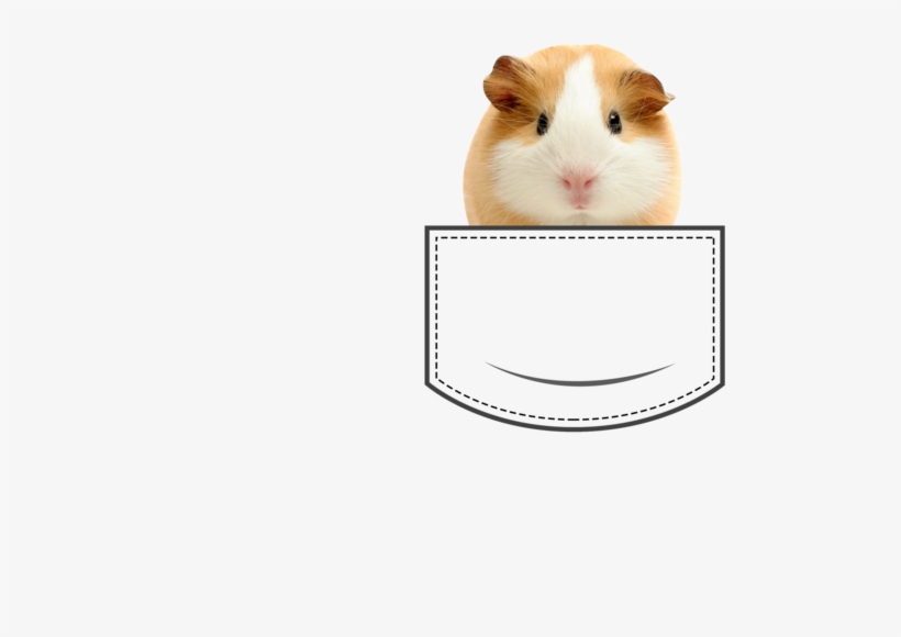 Feeding Your Guinea Pigs, transparent png download