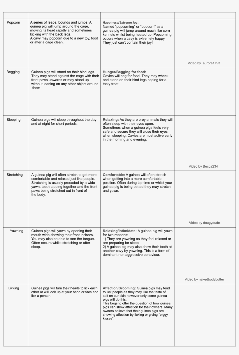 Popcorn A Series Of Leaps, Bounds And Jumps - Document, transparent png download