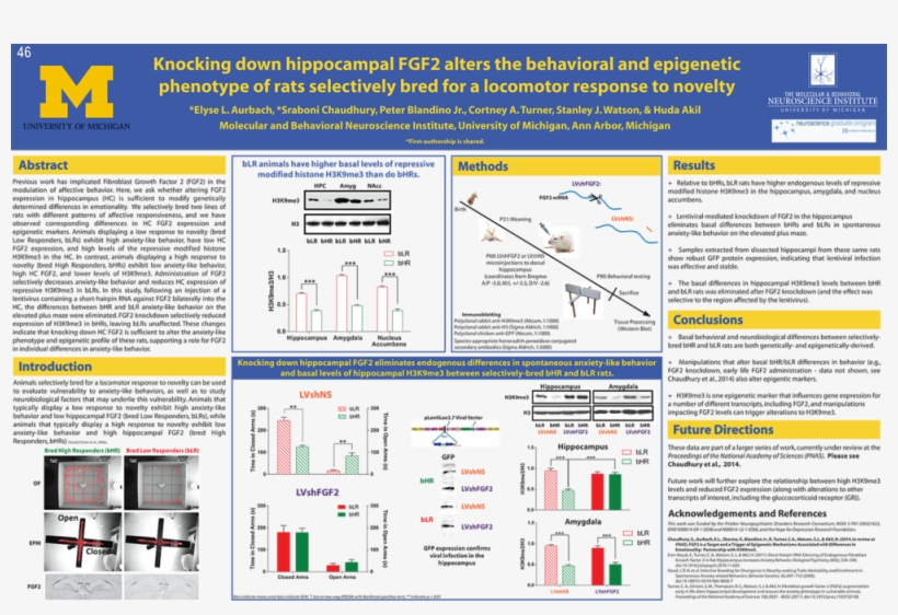 Eaurbach Sas2014 Final - University Of Michigan, transparent png download