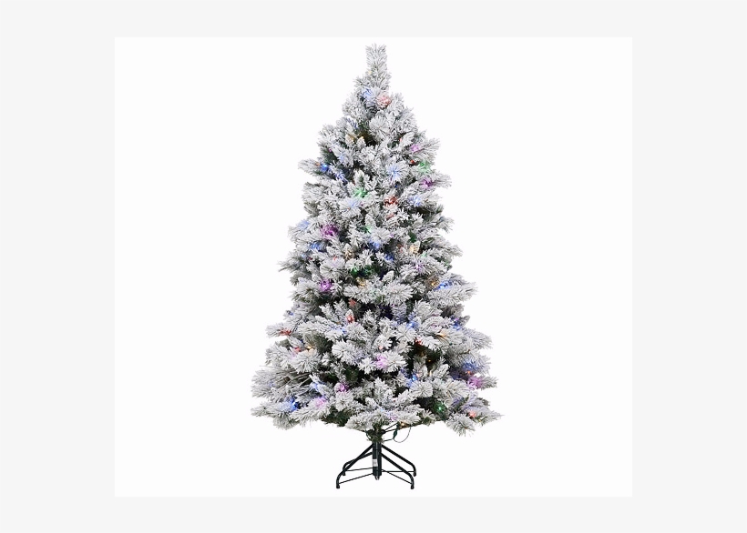 Ed On Air Santa's Best 5' Flocked Spruce Tree By Ellen - Christmas Tree, transparent png download