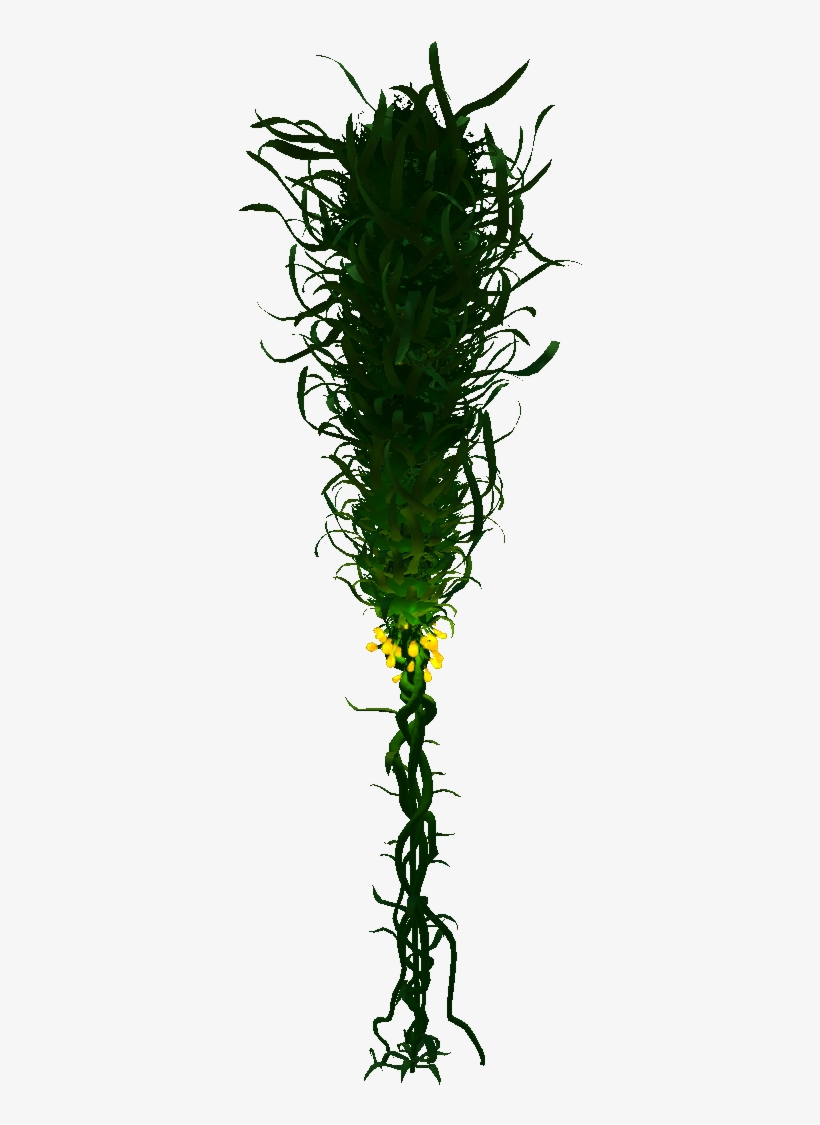 Creepvine - Creepvine Subnautica, transparent png download
