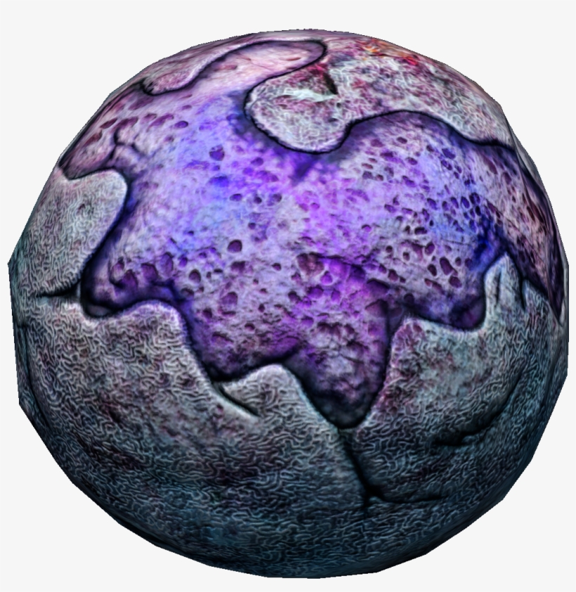 Lost River Brine Coral Fauna - Brine, transparent png download