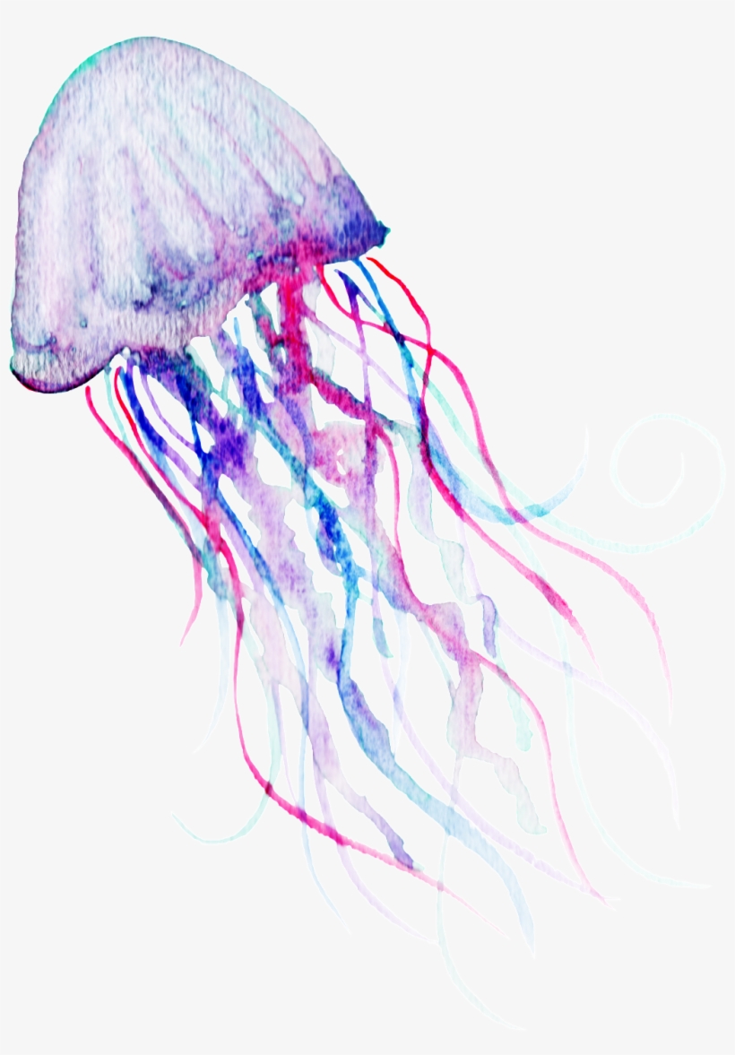 Watercolor Deep Sea Jelly Png Transparent - 水母 Png, transparent png download