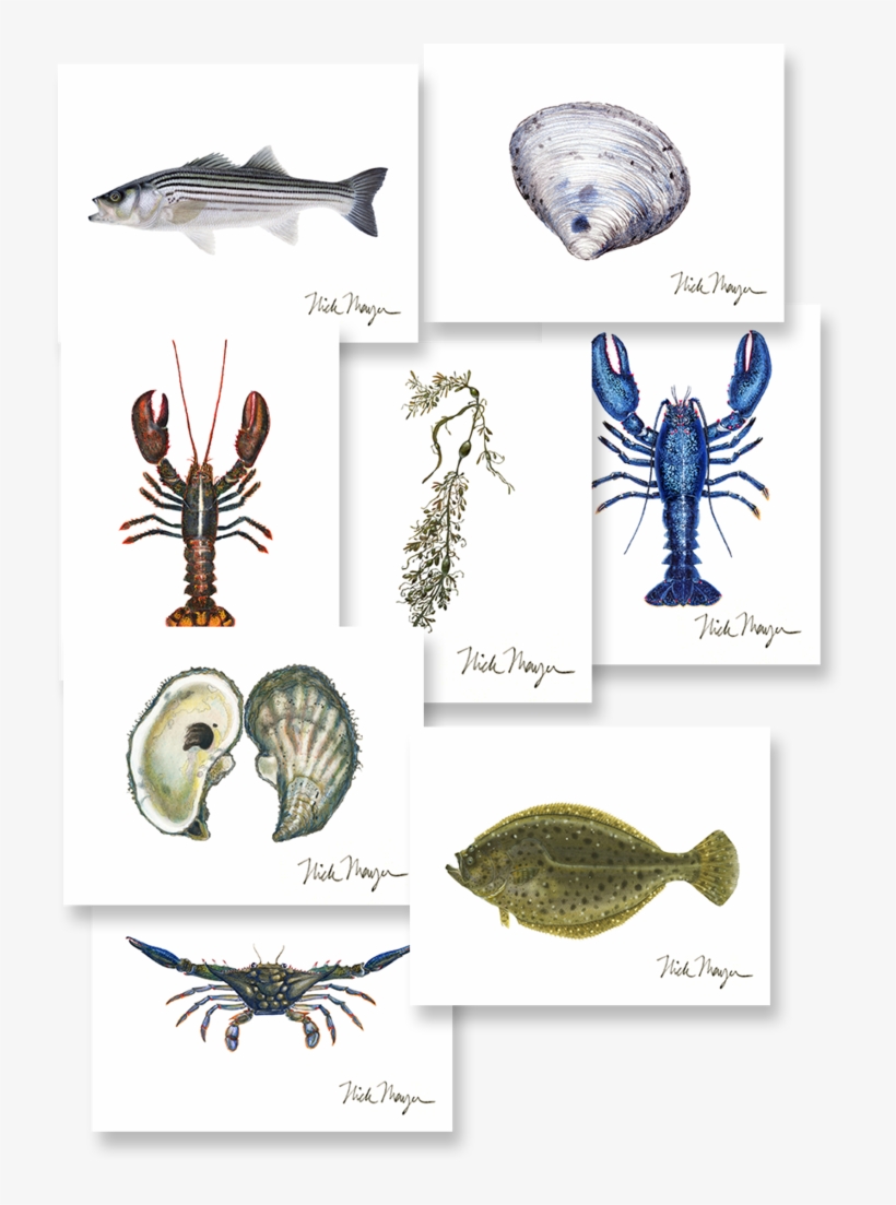 Coastal Boxed Assortment - Coupon, transparent png download