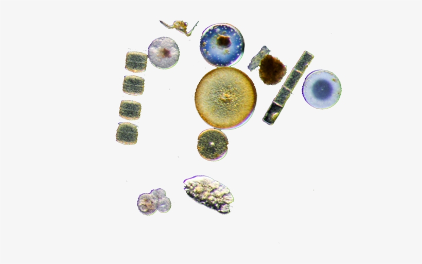 News - Gemstone, transparent png download