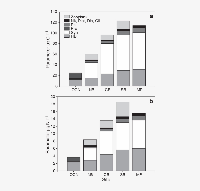 Values For Microbial Plankton Derived By Cell Conversion - Diagram, transparent png download