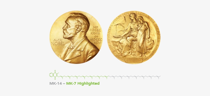 1943 - Nobel Prize, transparent png download