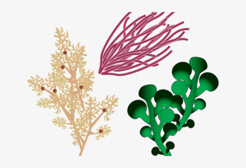 Clip Art, transparent png download