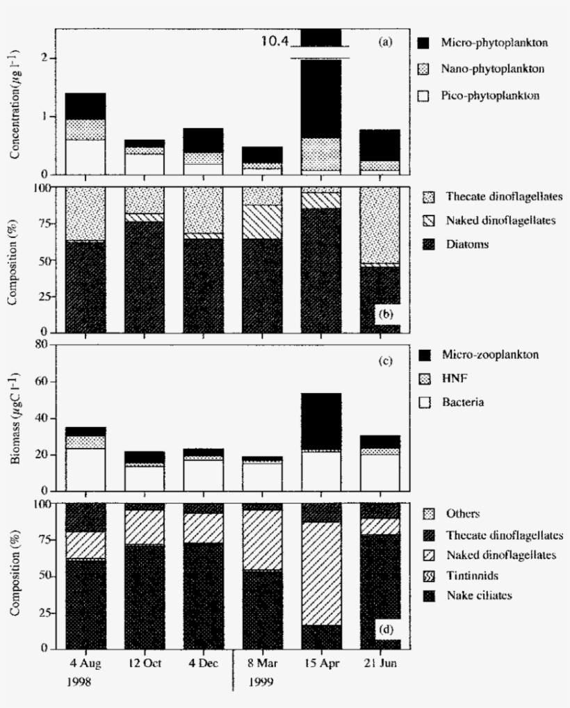 Plankton Assemblage Data Of Natural Seawater Used For - Data, transparent png download