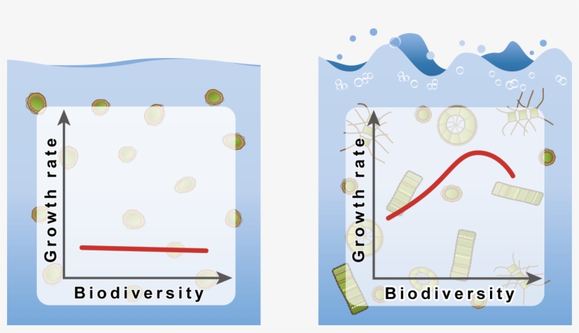Related Links - Ecosystem, transparent png download