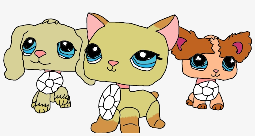 Photograph, transparent png download