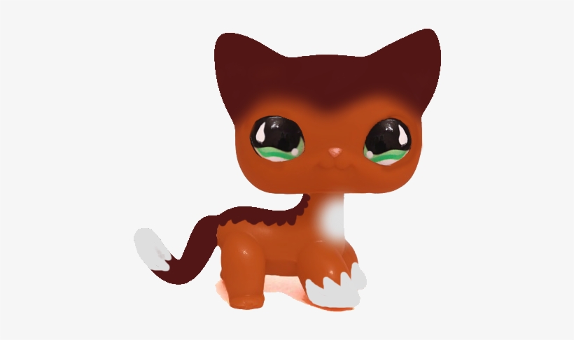 Photograph, transparent png download