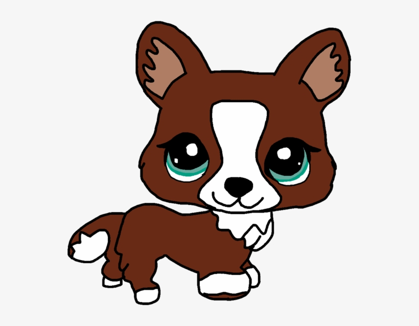lps corgie