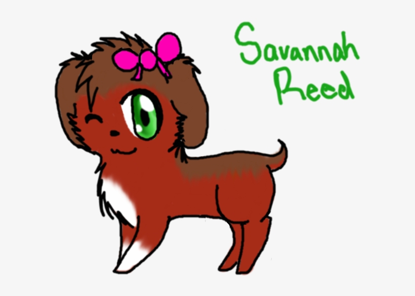 Untitled Drawing By Splashraven24-d6da2t1 - Drawing, transparent png download