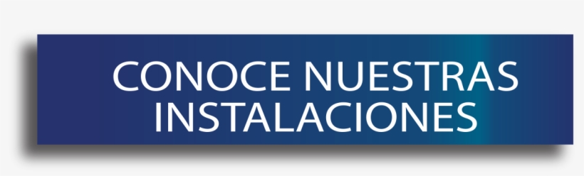 Conoce - Brain Of A Geek, transparent png download