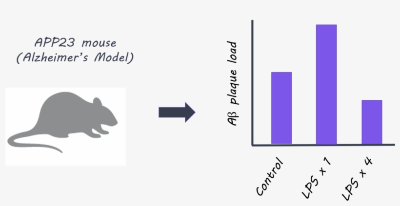 Micropic - Micropic Internet Fibra Óptica, transparent png download