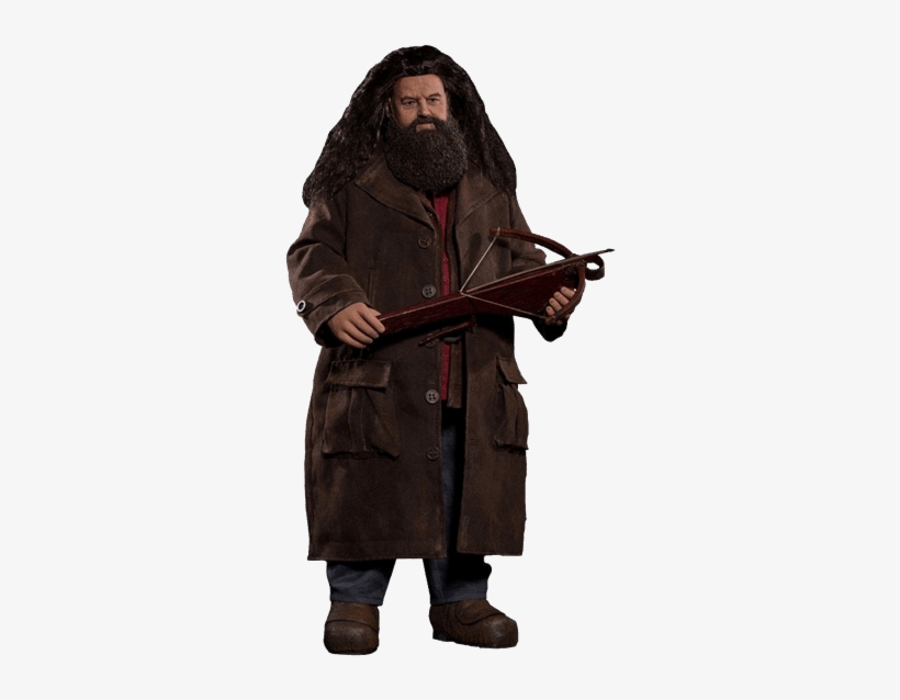 Rubeus Hagrid Action Figure - Harry Potter - Rubeus Hagrid With Fang 1:6 Scale Figure, transparent png download