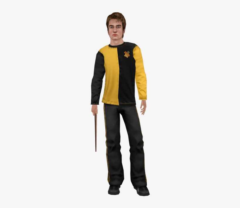 Szodsao - Harry Potter Ps2 Model, transparent png download