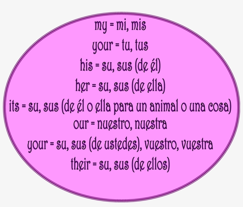 Check Out This - Possessive Pronouns English And Spanish, transparent png download