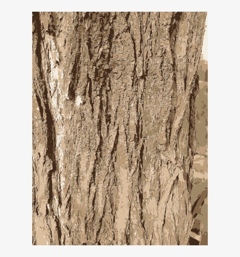 Tree Bark Texture Transparent PNG 600x800 Free Download on NicePNG