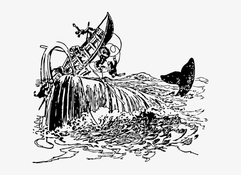 Whale Filps Boat Clip Art Free Vector - Whaling Clipart, transparent png download