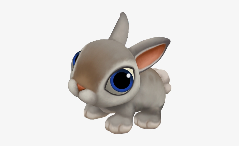 Baby Gray Cotton Tail Rabbit - Rabbit, transparent png download