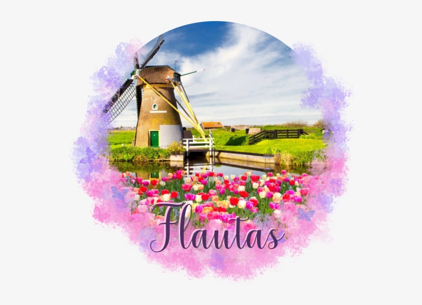 -ancient Sanctaphandri Proverb - Tulip Windmill And Farm, transparent png download