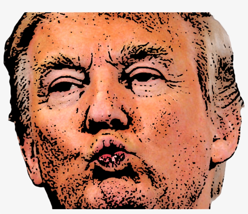 The Soft Power Of Crowdfunding - Donald Trump, transparent png download
