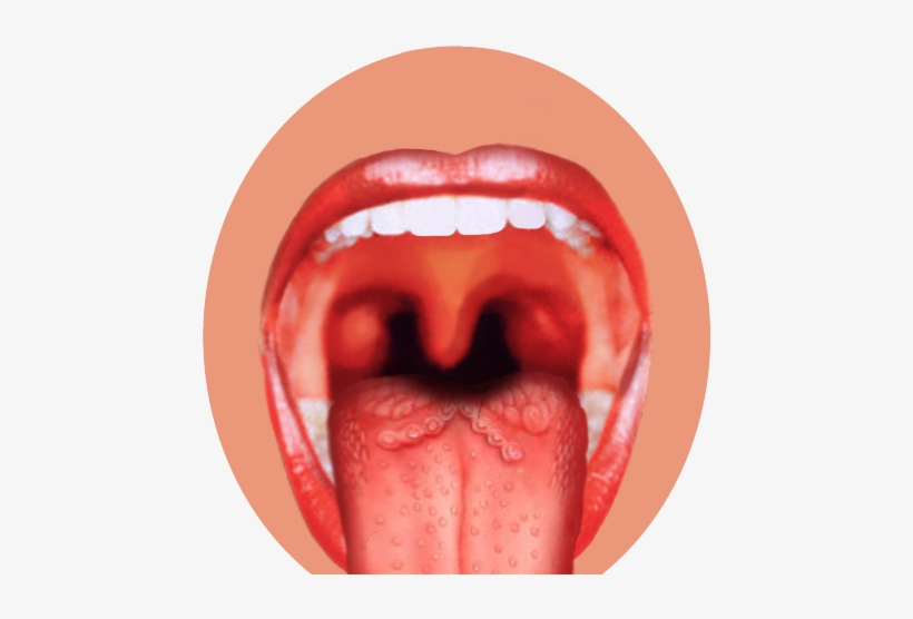 Drawn Tongue Png Transparent - Taste Buds Png, transparent png download