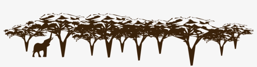 Wild Places Tree Canopy With Elephant Bigger - Snow, transparent png download