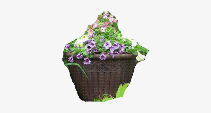 Garden Pot7 14 125 Png - Pansy, transparent png download