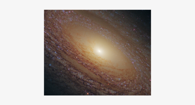 Spiral Galaxy Ngc - Ngc 2841, transparent png download