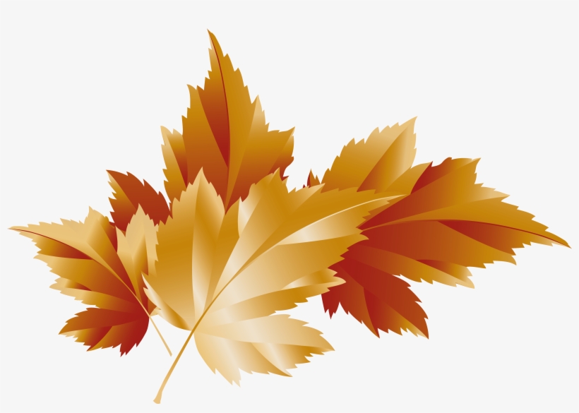 Leaves Transparent Clip Art - Prihodko Woman, transparent png download