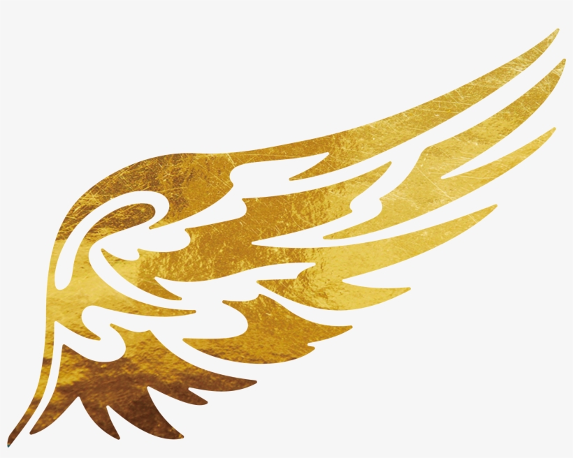 Apply For Business Workshop 2017 Soar With Dexterous, transparent png download