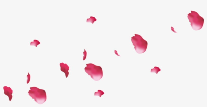 Pink Rose Petals Png, transparent png download