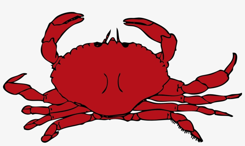 Shrimp Clipart Crustacean - Crab Clipart, transparent png download