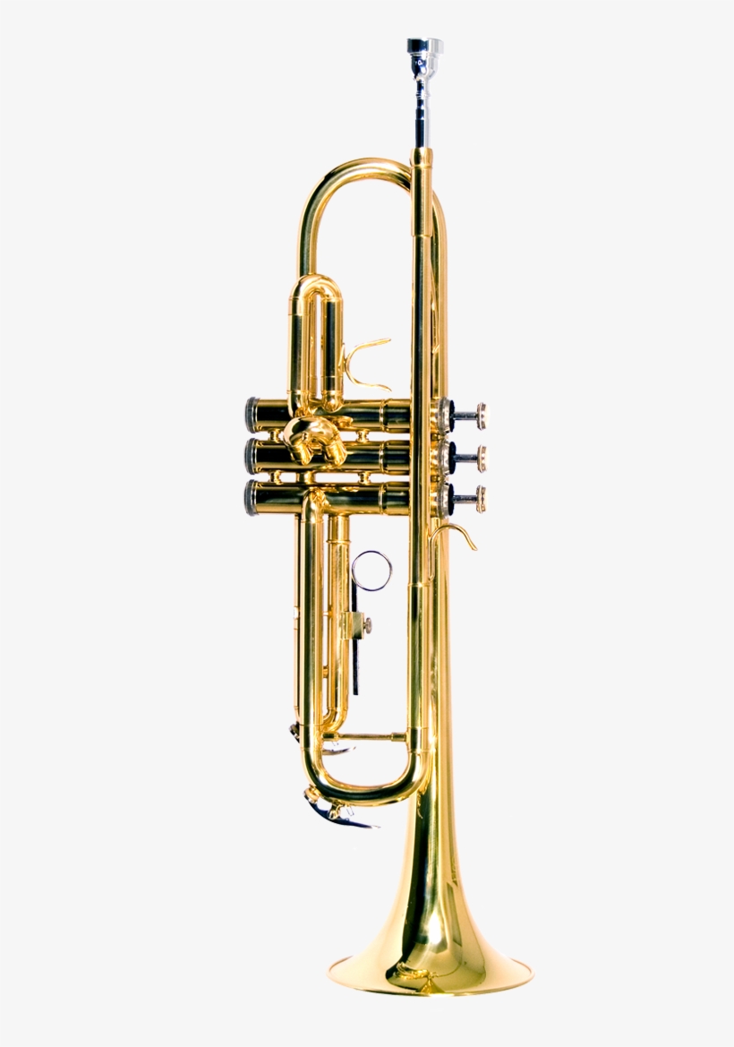 Trumpet Color, transparent png download