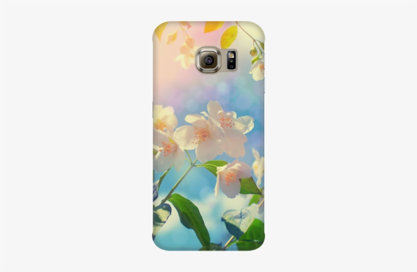 Blossom Phone Case - Die Magie Des Moments – Entspannungsübung Für Achtsamkeit, transparent png download