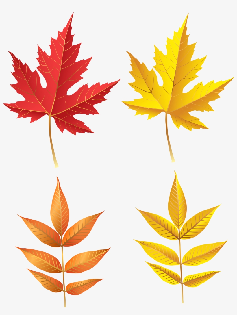 Pin By Tarun Arora On Food, transparent png download
