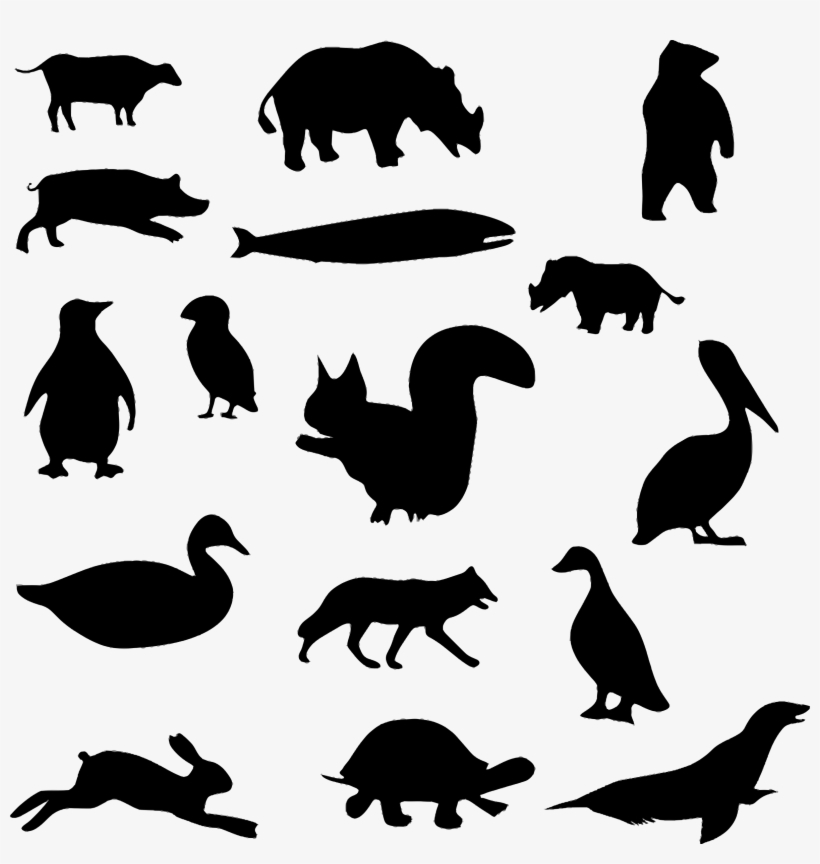 Animal Silhouettes - Animal Silhouettes Png, transparent png download