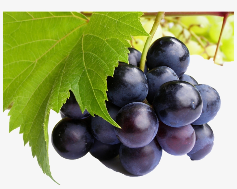 Black Grapes Png Free Commercial Use Images - Purple Grapes, transparent png download