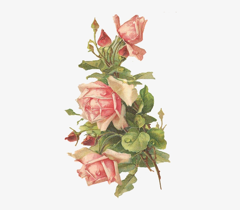 Grab Them All For Summer Rose Crafting - Rose With Transparent Background, transparent png download