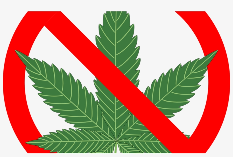 Are Cannabis Laws Paternalistic - Reasons Not To Smoke Marijuana: The Complete, transparent png download