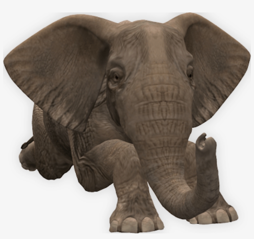 Elephant-down - Elephant Png, transparent png download