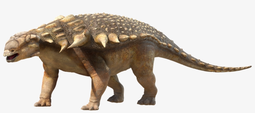Dinosaur Png Photo - Dinosaur Png, transparent png download