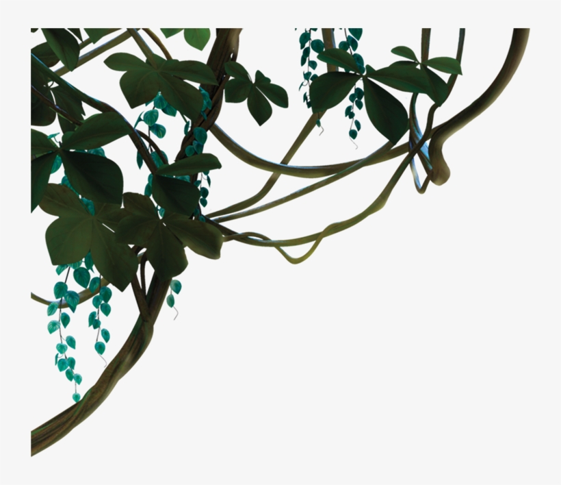 Jungle Vine Png - Dschungel Png, transparent png download